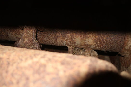 Slagleklipper ORTOLAN