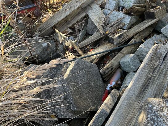 Assoreret Fliser og Brosten m.m