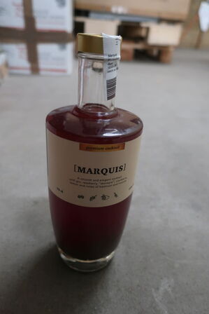 10 fl. Cocktail MARQUIS 