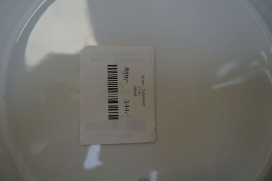 Tallerken ROYAL COPENHAGEN BLOMST