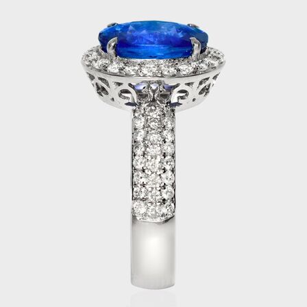 3,19 ct, Safir og brillantring af 18 kt. hvidguld. IGI