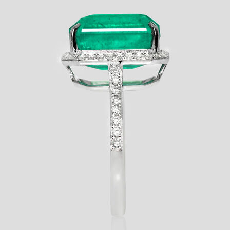 7,80 ct. meget fin smaragd og diamantring i 18 kt. hvidguld. IGI.