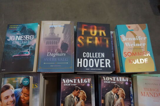 Stort parti bøger (Over 100 stk) 