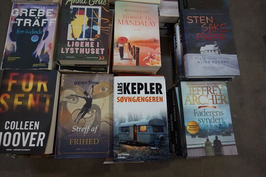 Stort parti bøger (Over 100 stk) 