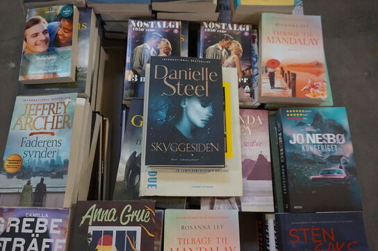 Stort parti bøger (Over 100 stk) 
