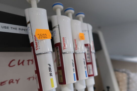 Stativ med 4 stk. pipetter THERMO SCIENTIFIC