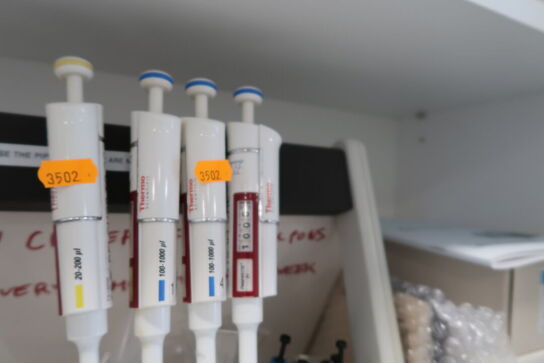 Stativ med 4 stk. pipetter THERMO SCIENTIFIC