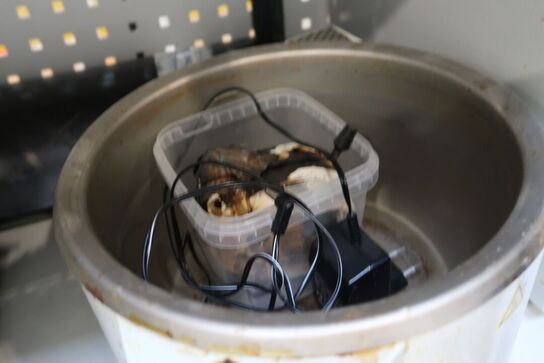 Vandband HEIDOLPH HB Digital