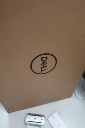 Computerskærm DELL P2422H