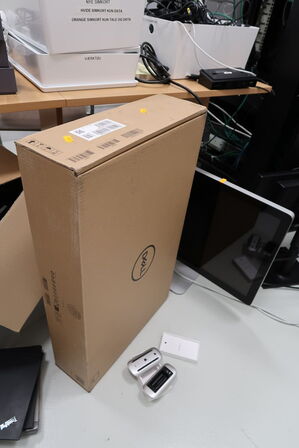 Computerskærm DELL P2422H