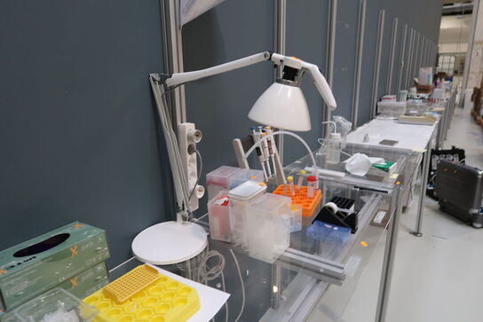 Bordlampe LUCEPLAN FORTERBRACCIO D33N