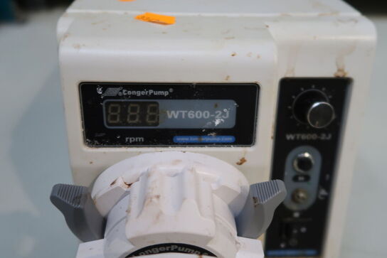 Peristaltic Pump LONGERPUMP WT600-2J