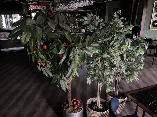 3. Stk. Plastik Planter 