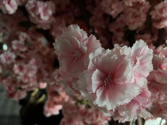 Plastik kirsebær træ m. Træ fod med hvide sten