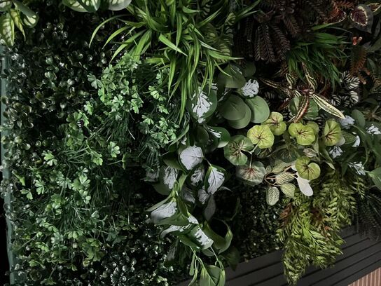 Væg ophængt lys skilt med plastik pynte grønt