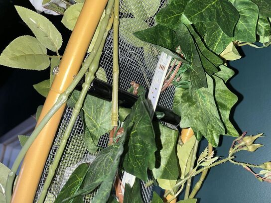 Hjerte formet udstilling m. Pynte grønt og RGB LED lys