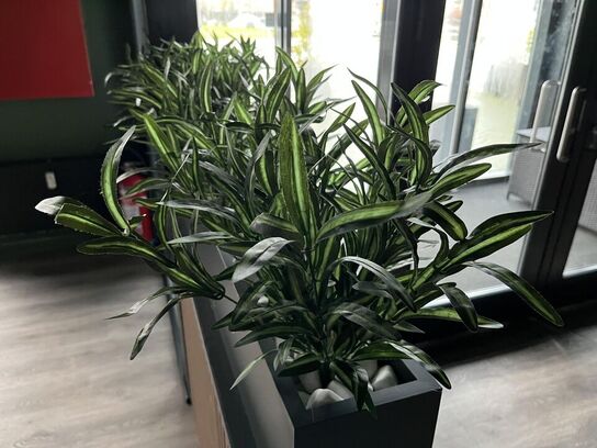 Rum opdeler m. Pynte grønt 