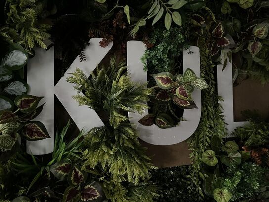 Væg ophængt lys skilt med plastik pynte grønt