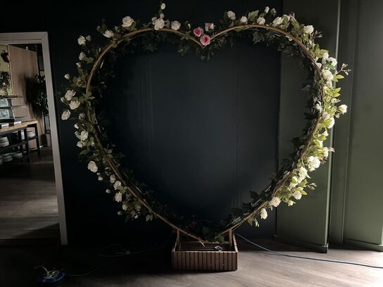 Hjerte formet udstilling m. Pynte grønt og RGB LED lys