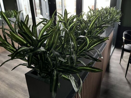 2. Stk. Rum opdeler m. Pynte grønt 