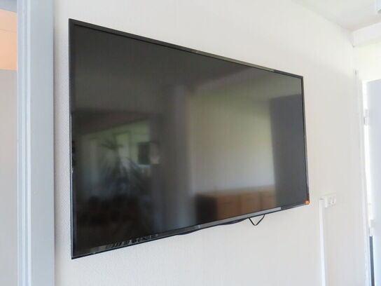48" LED-TV Panasonic med fjernbetjening