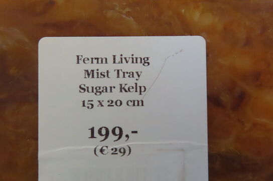 Mist tray FERM LIVING