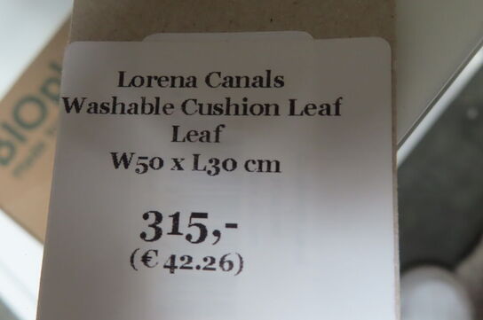 Pude LORENA CANALS