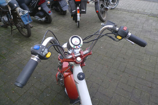 Knallert, Tomos Youngst'R MOMSFRI