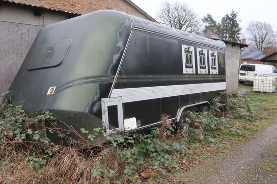 Hestetrailer BOJ MAGNUM