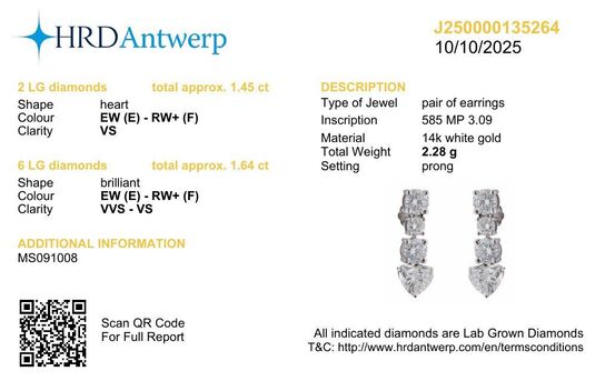 3,09 ct. laboratorieskabt diamantørestikker, 14kt. hvidguld, HRD