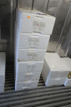 Div. Flamingokasser med varelager