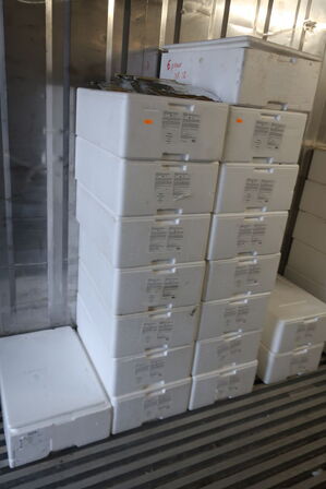 Div. Flamingokasser med varelager