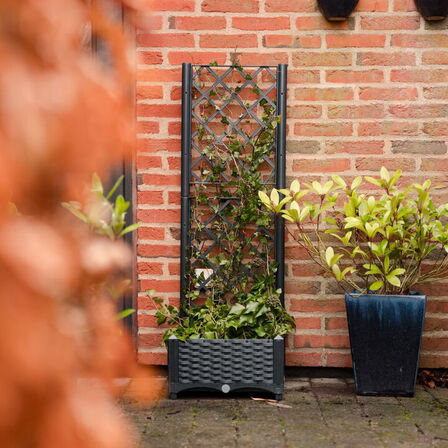 3 stk.plantekasse med espalier(ubrugt)