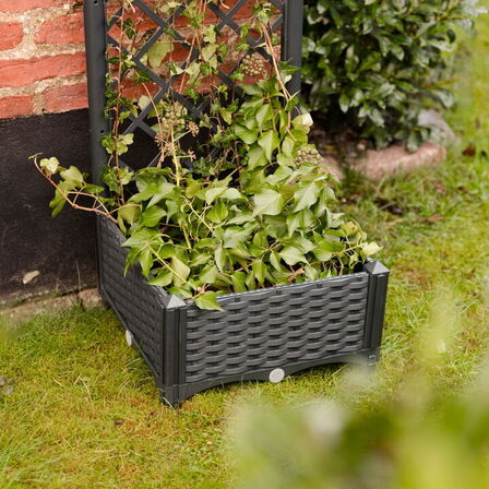 3 stk.plantekasse med espalier(ubrugt)