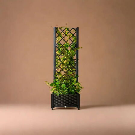 3 stk.plantekasse med espalier(ubrugt)