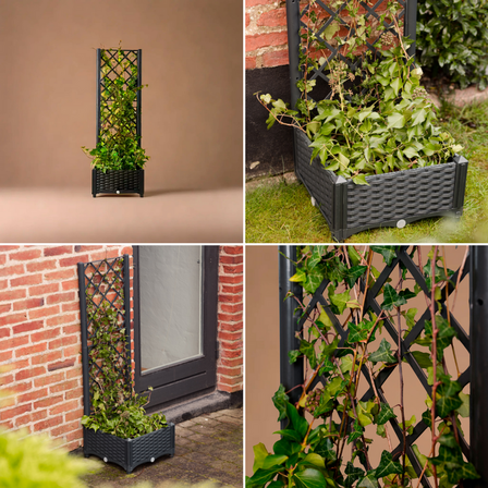 2 stk.plantekasse med espalier(ubrugt)