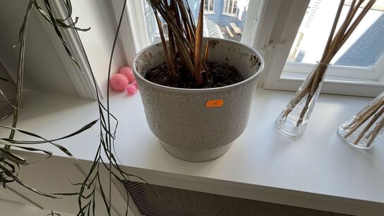 Blomsterkrukker + Vaser  m. indhold