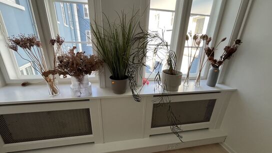 Blomsterkrukker + Vaser  m. indhold