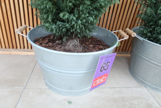 2 stk. zinkbaljer med planter