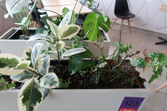 Plantekasse på hjul