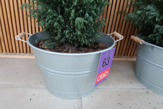 2 stk. zinkbaljer med planter