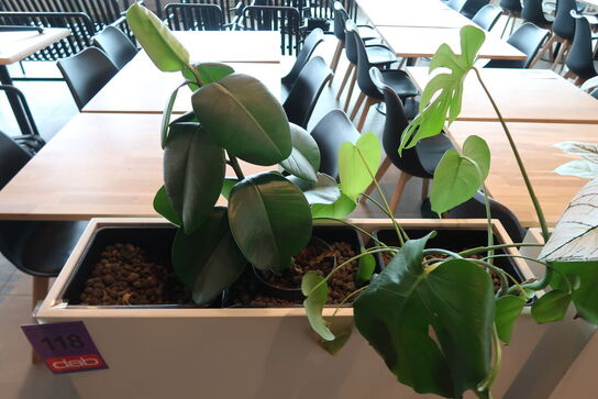 Plantekasse på hjul