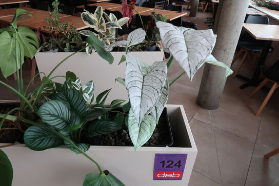 Plantekasse på hjul