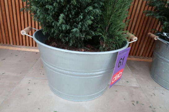 2 stk. zinkbaljer med planter