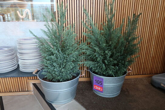 2 stk. zinkbaljer med planter