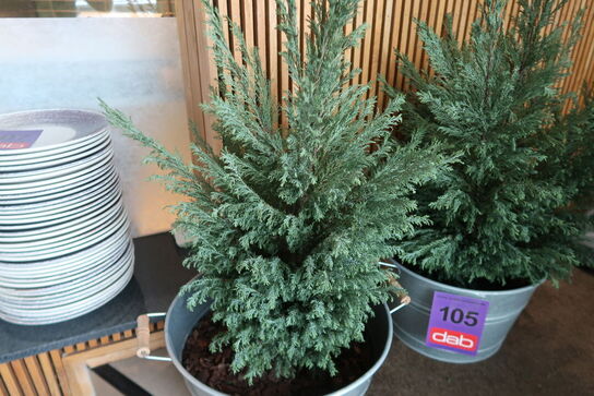 2 stk. zinkbaljer med planter