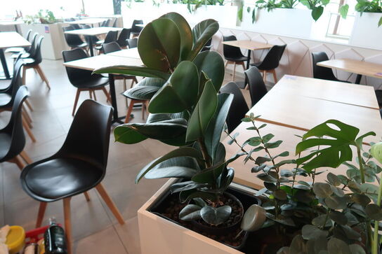 Plantekasse på hjul