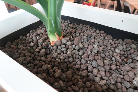 2 stk. plantekasser med 4 planter