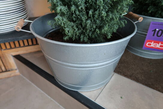 2 stk. zinkbaljer med planter