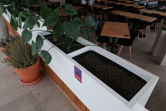 2 stk. plantekasser med 2 planter